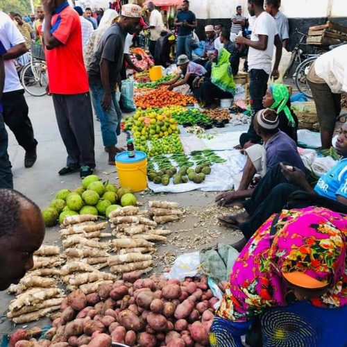 Zanzibar Kombo Tours